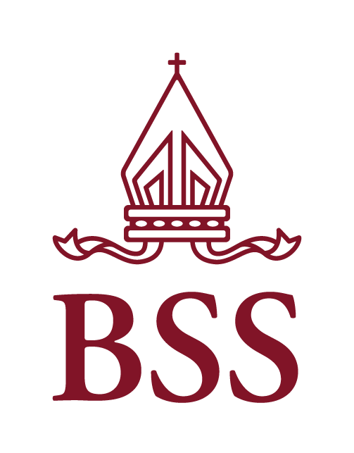 BSS logo